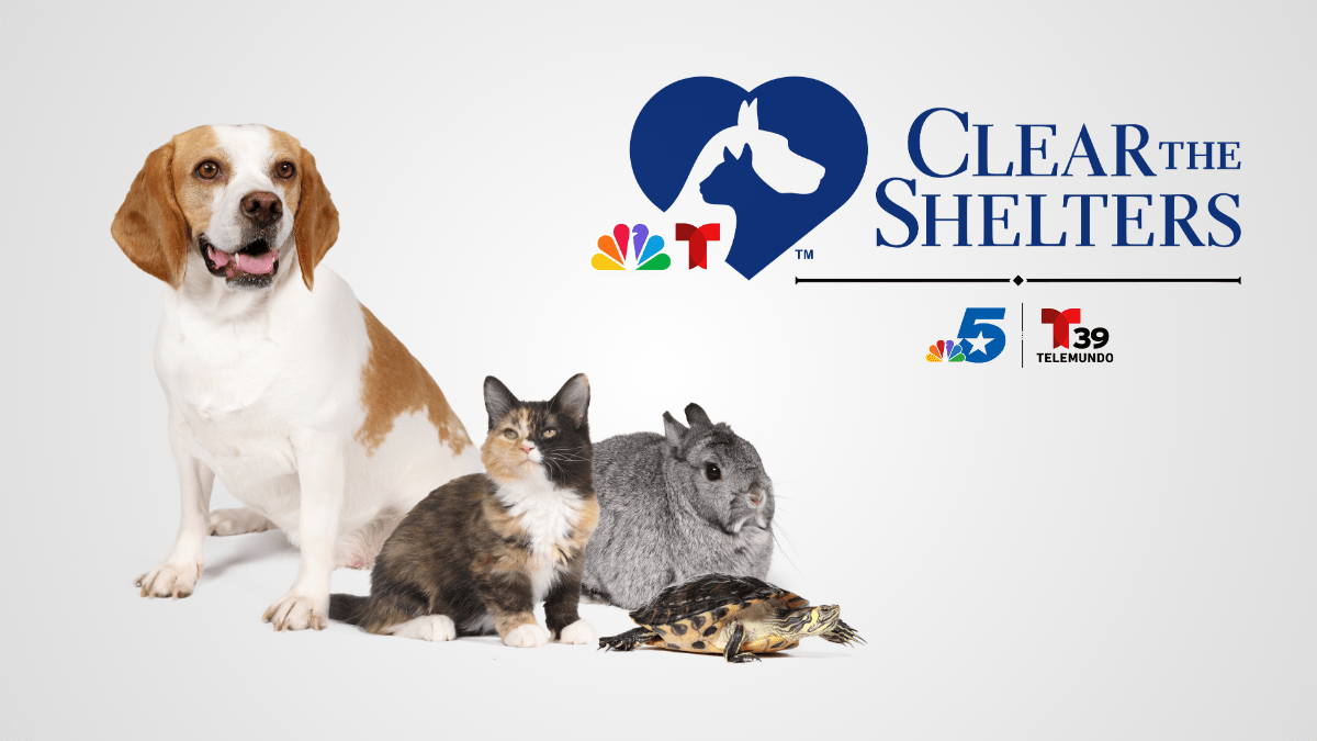 Here are the shelters participating in the 10th annual Clear the Shelters™ – NBC 5 Dallas-Fort Worth