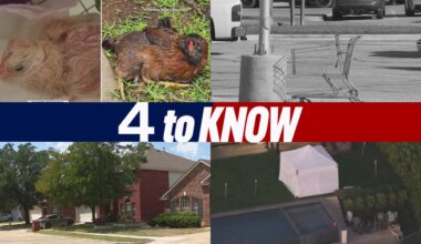 4 to Know for Tuesday, Aug. 19