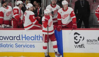 Red Wings need mental fortitude to reverse this damaging trend