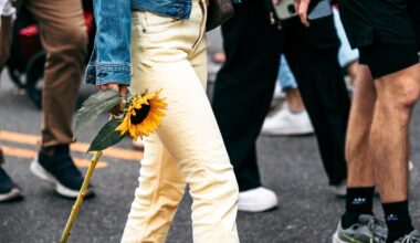 Spring Garden's Sunflower Festival returns to Fairmount Avenue for second year on Sept. 6