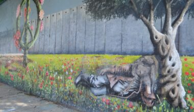 Woman Charged With Hate Crime In Vandalism Of Pro-Palestine Mural In Pilsen, Police Say