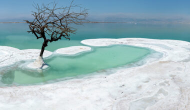 The Dead Sea's 'Salt Giants' Reveal Deep Secrets About Earth's Past : ScienceAlert