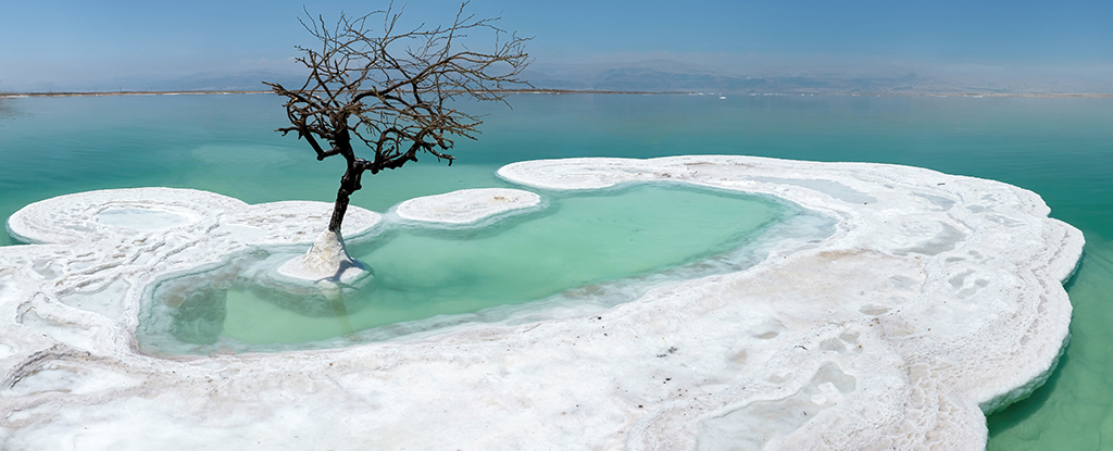 The Dead Sea's 'Salt Giants' Reveal Deep Secrets About Earth's Past : ScienceAlert