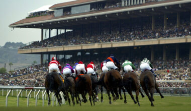 Second horse dies this year from racing injury at Del Mar Racetrack – NBC 7 San Diego