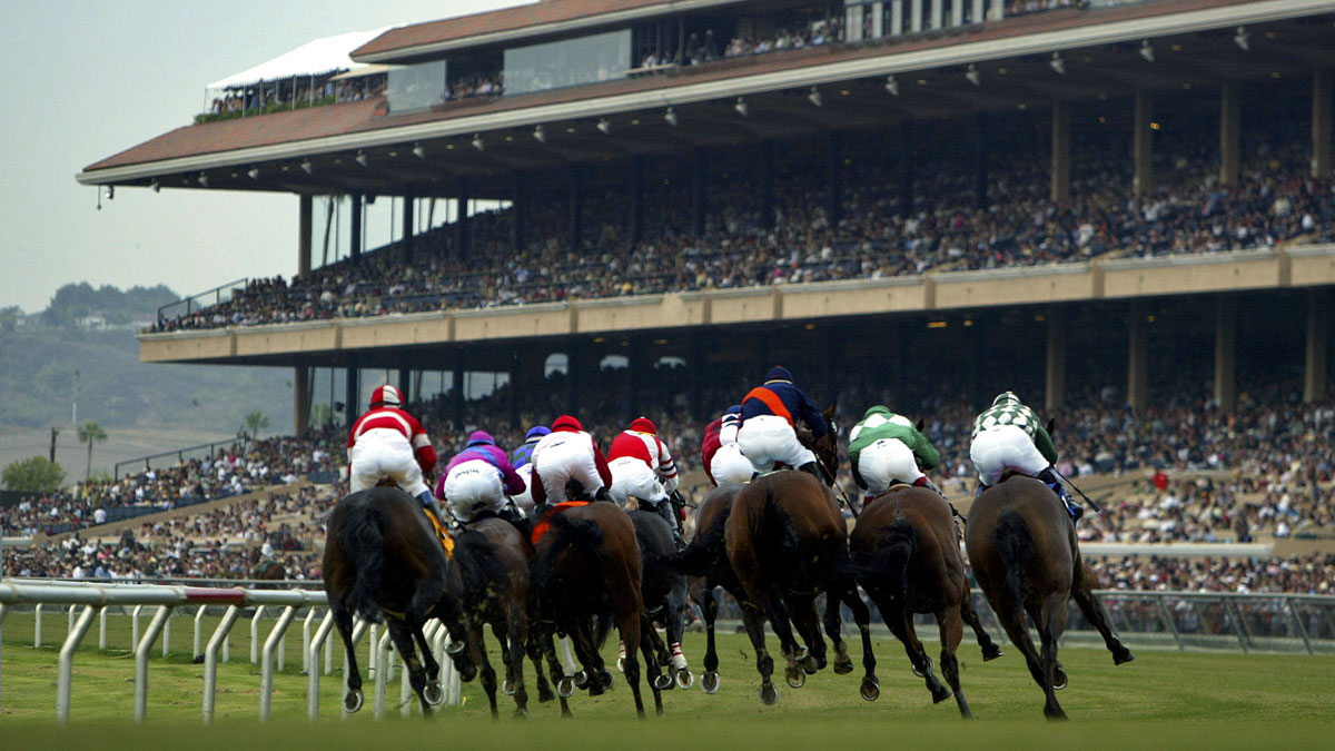 Second horse dies this year from racing injury at Del Mar Racetrack – NBC 7 San Diego