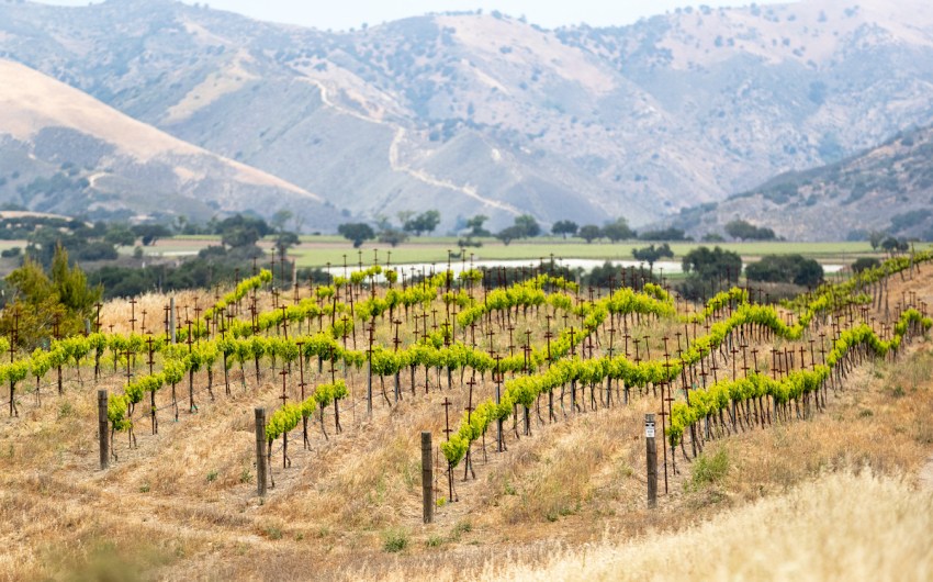 Demetria Estate Boosts Biodynamic Roots