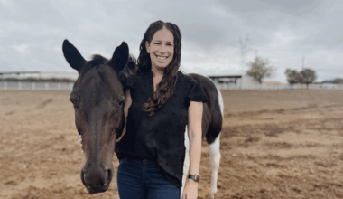 Fort Worth nonprofit harnesses the therapeutic power of horses to help veterans