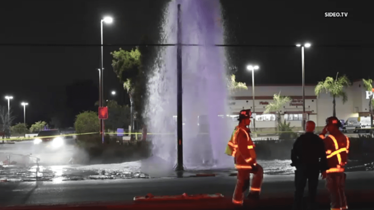 El Cajon police arrest suspected drunk driver in fatal hit-and-run – NBC 7 San Diego
