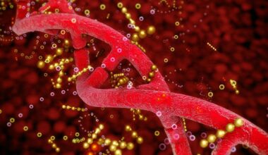 duo of gene-regulating markers found to shape cell fate and disease
