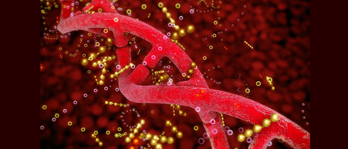 duo of gene-regulating markers found to shape cell fate and disease