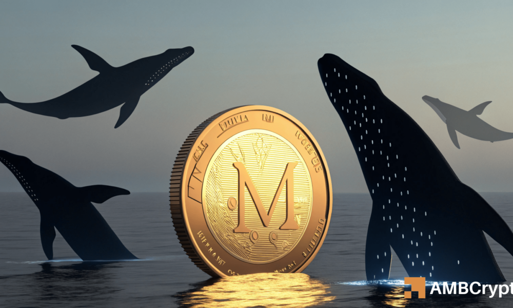 Mantle: Volatility ahead? Whale activity could fuel MNT's profit-taking