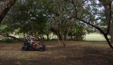 Where I Live: Scenic Oaks