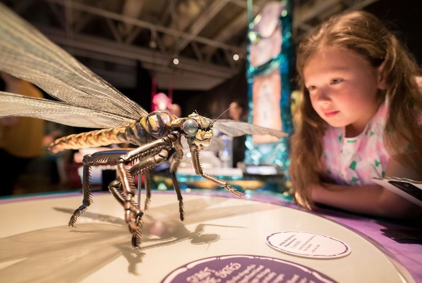 The Bug Lab exhibit at the Perot Museum explores how science is using bugs to solve some of...
