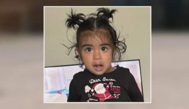 Calgary toddler dies after being struck by a vehicle