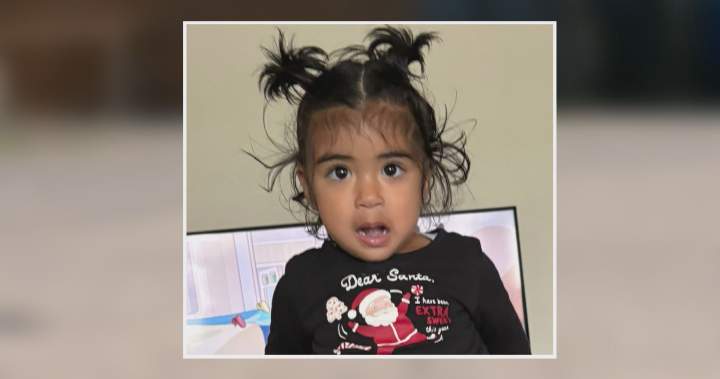 Calgary toddler dies after being struck by a vehicle