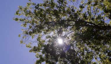 Air quality advisory issued for Portland, Multnomah and Clackamas counties