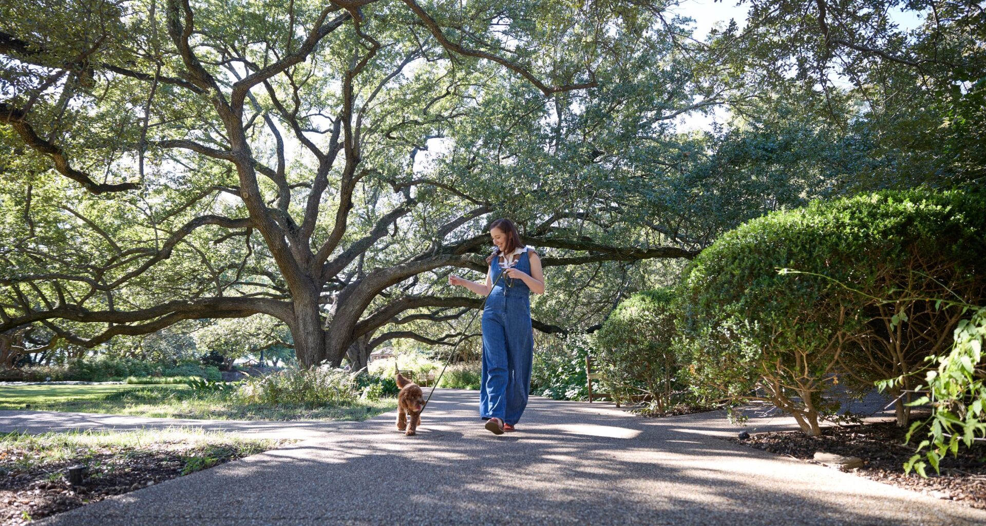 Weekend Worthy: Soak up some sun with your pup pals at Fort Worth Botanic Garden