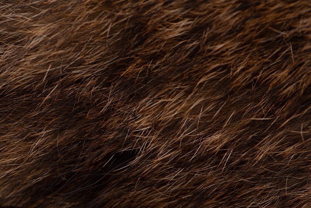 Fur close up image