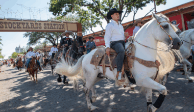 Celebrate Mexican Independence Day at the Fort Worth Stockyards – NBC 5 Dallas-Fort Worth