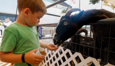 Forecast for the NY State Fair: You can bring the summer clothes back out for Day 3