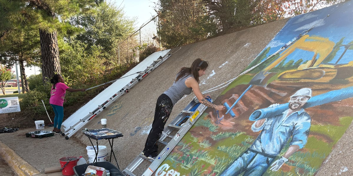 Mustard Seed Murals brightens up Longview Mall property