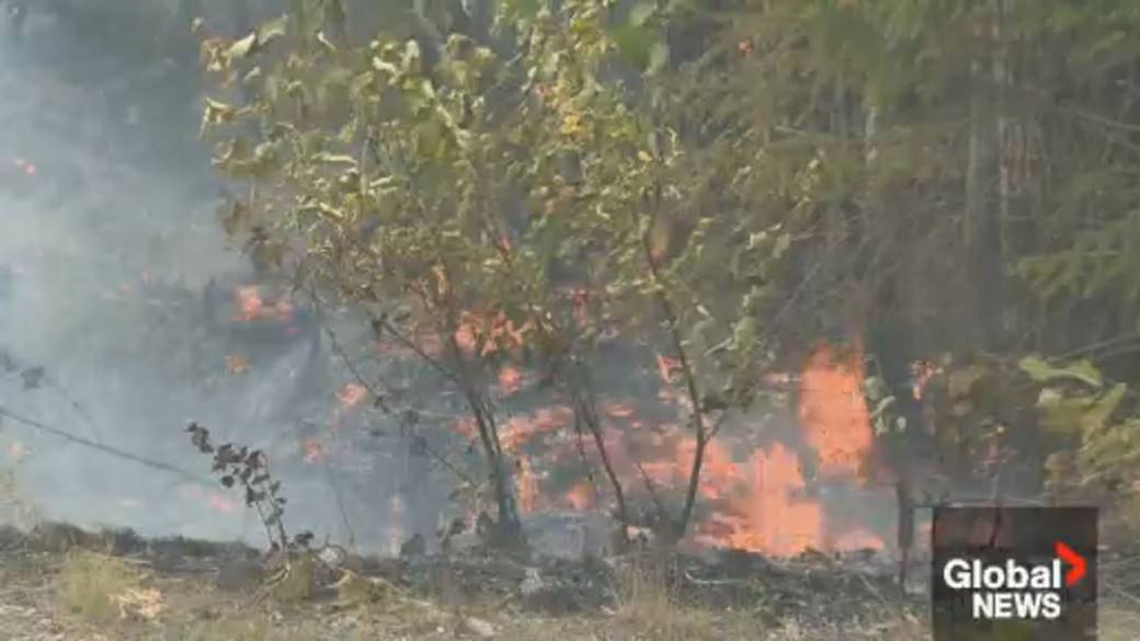 Click to play video: 'East Coast provinces crack down on wildfire prevention'