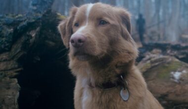 'Good Boy' Promises Genuine Frights Along With Its Furry Star