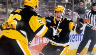 What to Do With Young Goalies & Forwards?