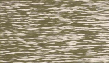 Body found in Lake Michigan near Monroe Harbor – NBC Chicago