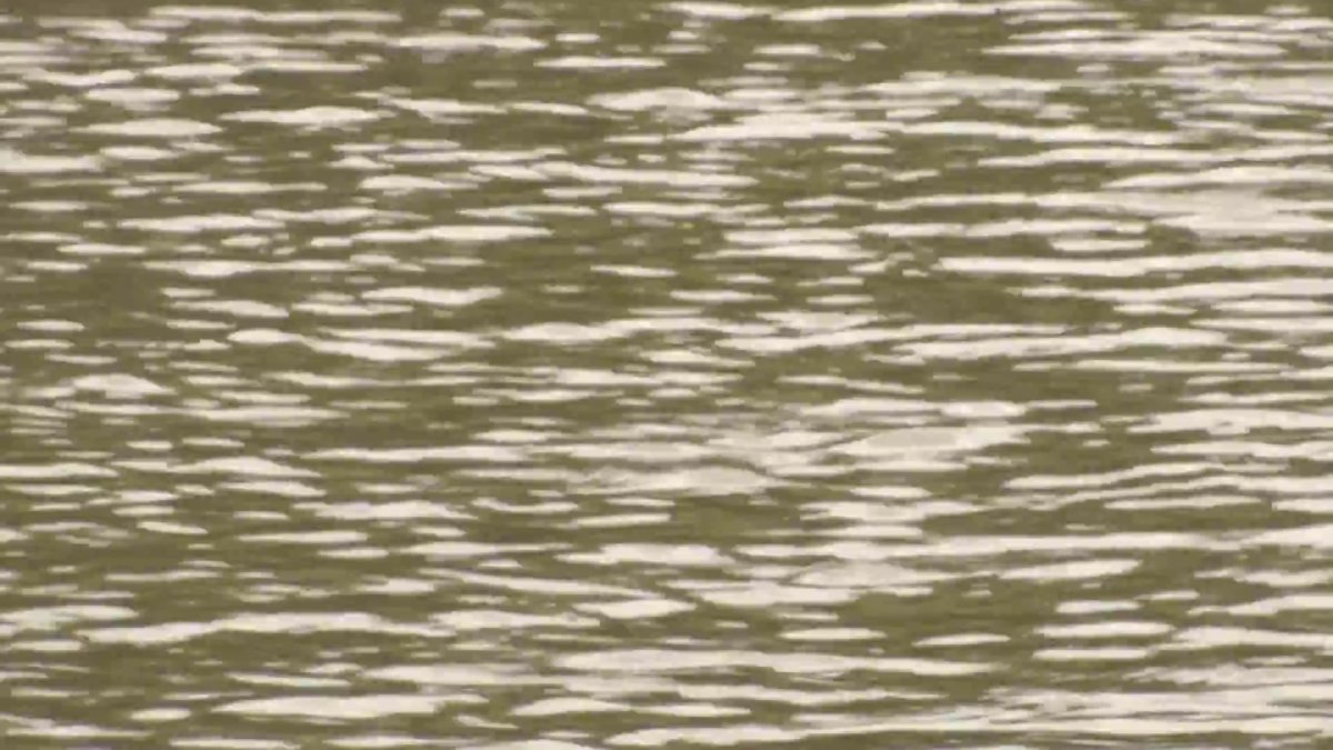 Body found in Lake Michigan near Monroe Harbor – NBC Chicago