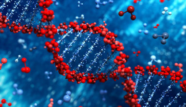 Genetic Discovery Could Improve Cancer Immunotherapy