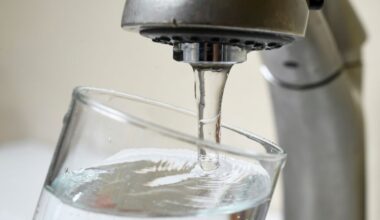 Williams Bay Wisconsin issues ‘do not drink’ order for water – NBC Chicago