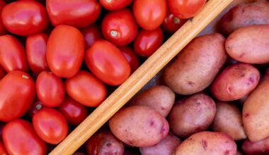 Science Reveals the Surprising Origins of the Potato
