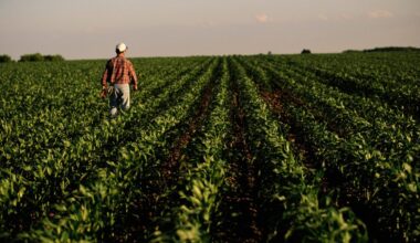 Rural America is suffering an economic crisis as crop prices plunge