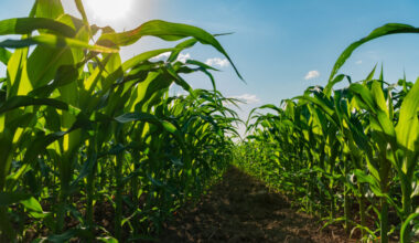2 Iowa companies advance in national ag entrepreneur challenge