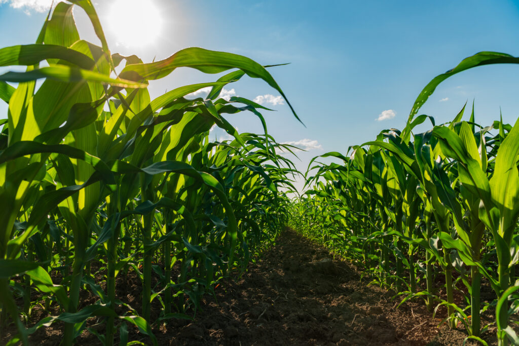 2 Iowa companies advance in national ag entrepreneur challenge