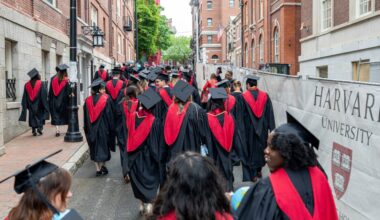 AI is gutting the next generation of talent: In tech, job openings for new grads have already been halved