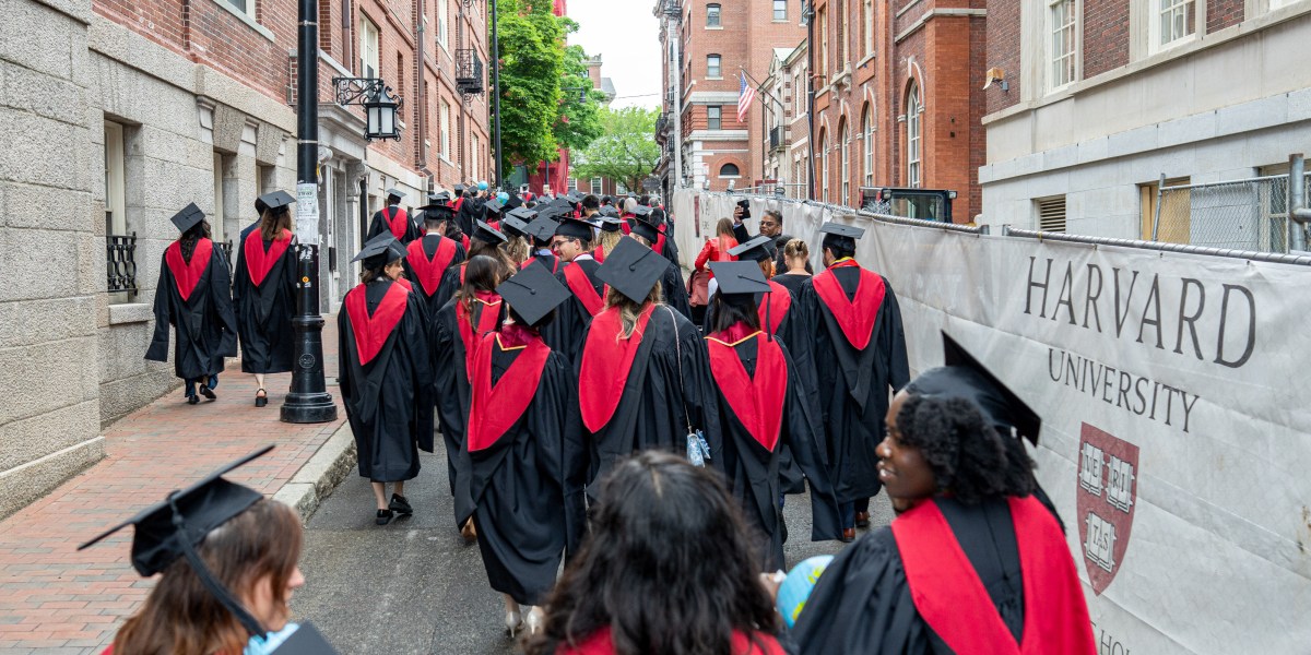AI is gutting the next generation of talent: In tech, job openings for new grads have already been halved