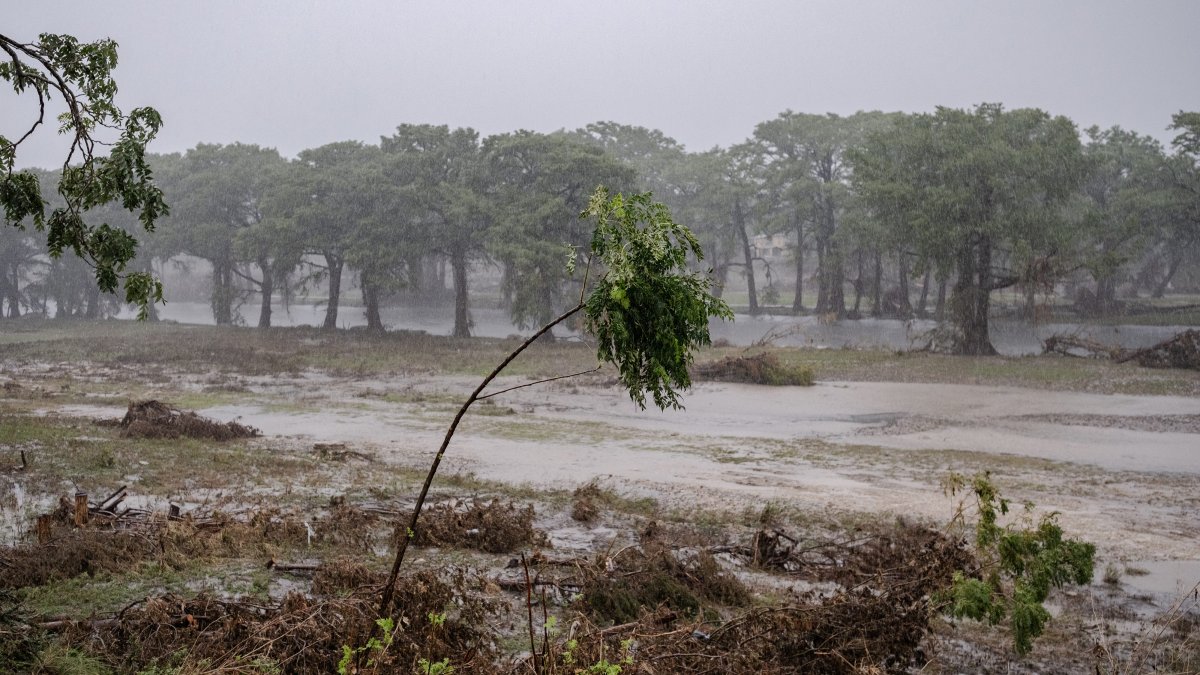 San Diego non-profit delivers comforting bear hugs to Texas flood Victims – NBC 7 San Diego