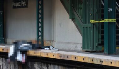Man killed by Brooklyn subway train during fight on platform was aggressor: police
