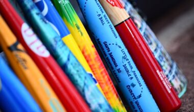 Suspended Little Leaguer’s bat sells for $10,000 at auction – NBC10 Philadelphia