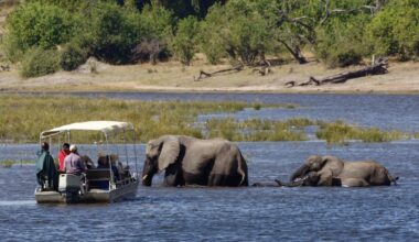Elephant Rams Boat After Giving Multiple Warnings