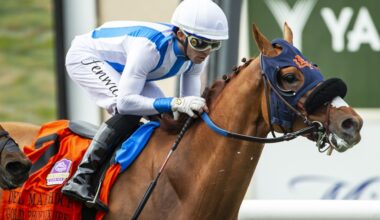Gold Phoenix seeks 4th straight Del Mar Handicap win – San Gabriel Valley Tribune