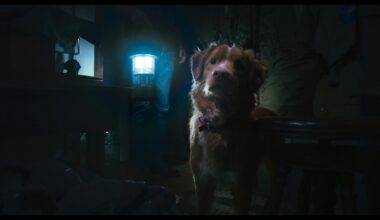 Horror Pic Debuts First Look From Brave Pup's POV