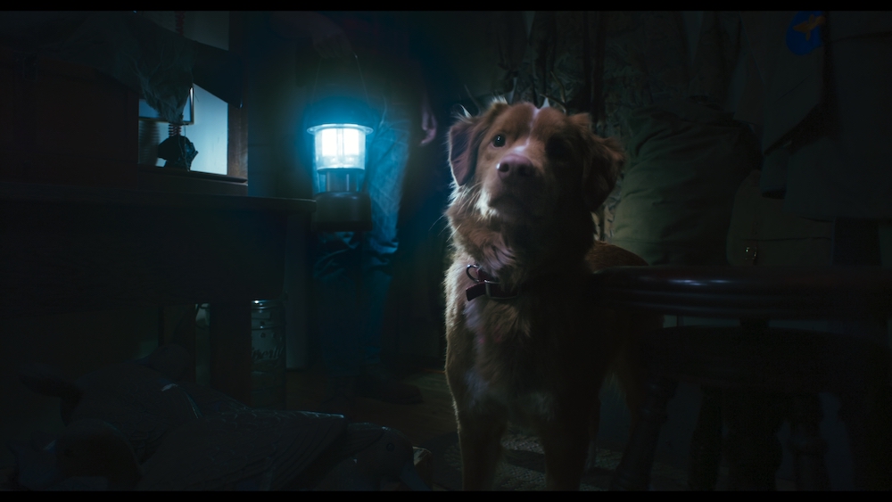 Horror Pic Debuts First Look From Brave Pup's POV