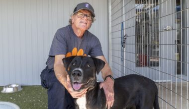  Kurt Sacks helps save shelter dogs nearing their last days