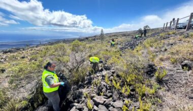 ‘Guardians of the Trails’ program offers career opportunities in conservation : Big Island Now