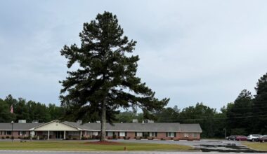 Some Georgia nursing homes at risk of closure from Medicaid cuts