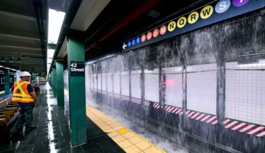 The Subway Rat can help keep us dry