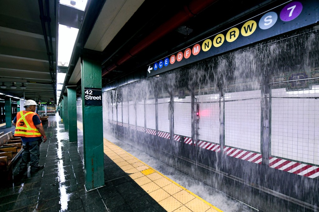 The Subway Rat can help keep us dry